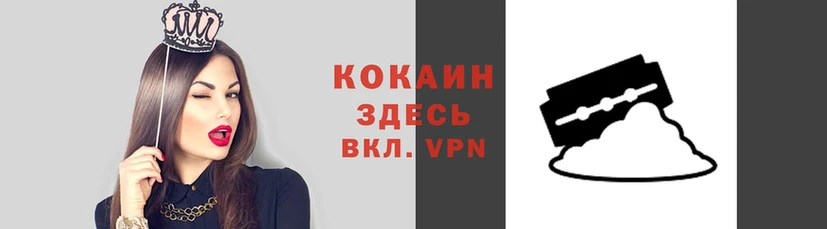 ALPHA PVP Белокуриха