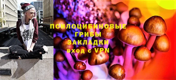 ALPHA PVP Белокуриха