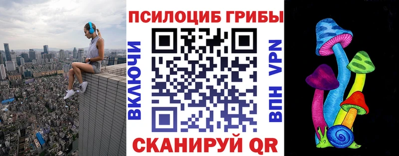 Галлюциногенные грибы Psilocybe  Нерчинск 